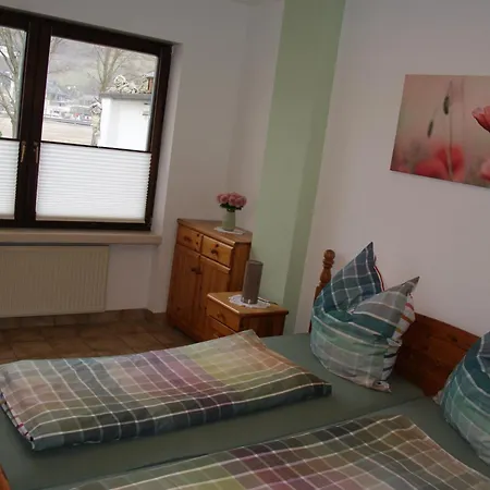 Moselblick - An Der Uferpromenade Apartment *